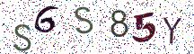 S6S85Y