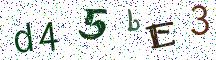 d45bE3