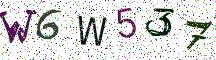 W6W537