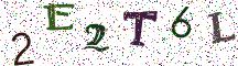 2E2T6L