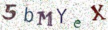 5bMYeX