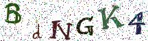 BdNGK4