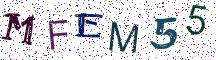 MFEM55