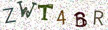 ZWT4BR