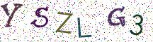 YSZLG3