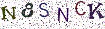 N8SNCK