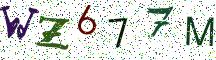WZ677M