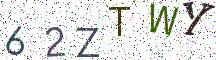 62ZTWY