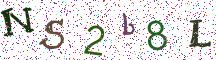 NS2b8L