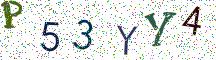 P53YY4