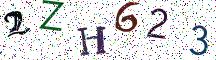 2ZH623