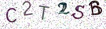 C2T2SB