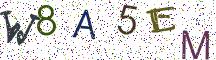 W8A5EM