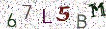 67L5BM