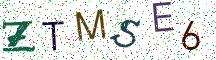 ZTMSE6