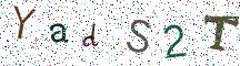 YadS2T