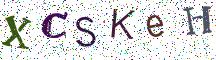 XCSKeH