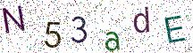 N53adE