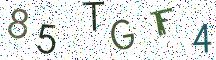 85TGF4