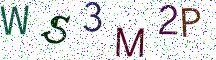 WS3M2P