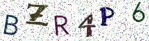 BZR4P6