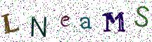 LNeaMS