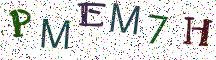 PMEM7H