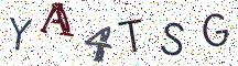 YA4TSG