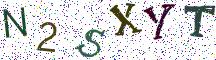 N2SXYT