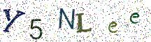 Y5NLee