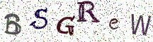 BSGReW