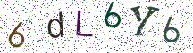 6dL6Y6