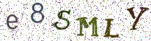 e8SMLY