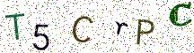 T5CrPC