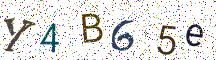 Y4B65e