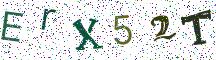 ErX52T