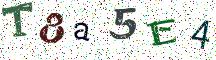 T8a5E4