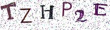 TZHP2E