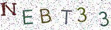 NEBT33