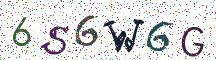 6S6W6G