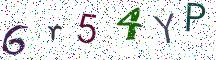 6r54YP