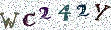 WC242Y