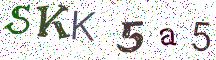 SKK5a5