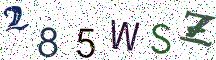 285WSZ
