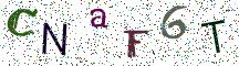 CNaF6T