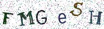 FMGeSH