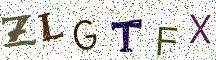 ZLGTFX