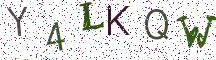 Y4LKQW