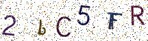 2bC5FR