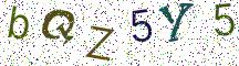 bQZ5Y5